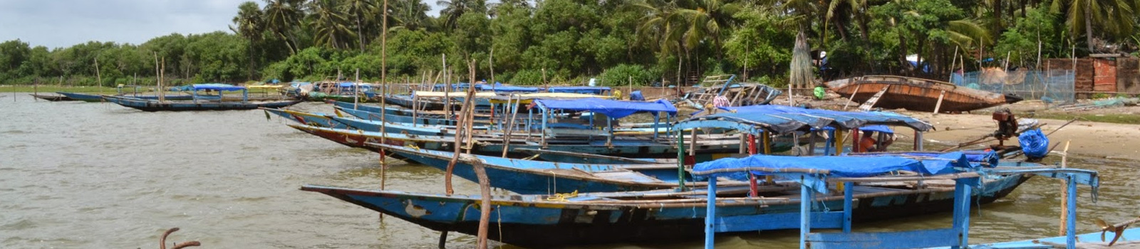 Beauty of Chilika Lake
